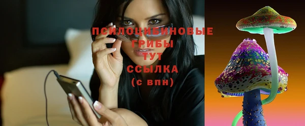 шишки Волосово