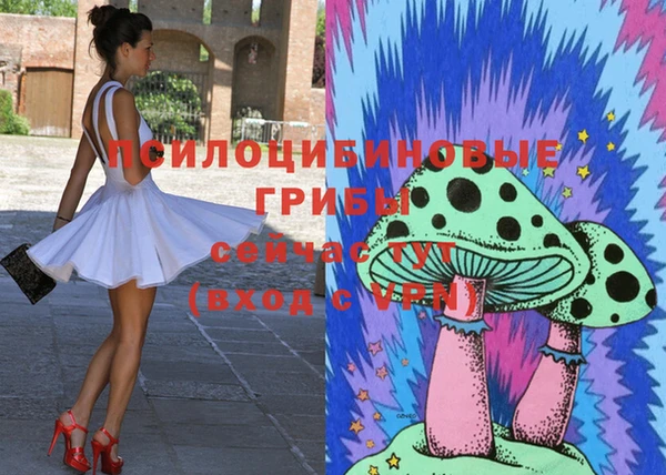 шишки Волосово