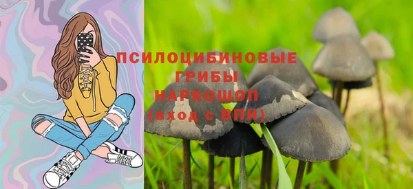 spice Володарск