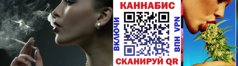 Бошки Шишки семена  продажа наркотиков  Чернушка 